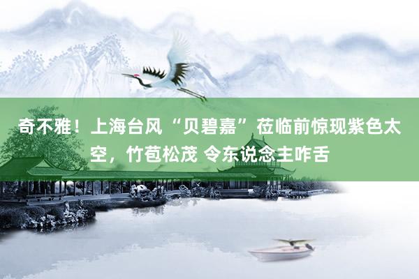 奇不雅！上海台风 “贝碧嘉” 莅临前惊现紫色太空，竹苞松茂 令东说念主咋舌