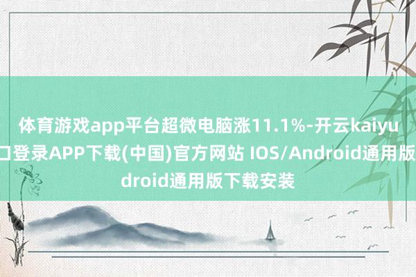 体育游戏app平台超微电脑涨11.1%-开云kaiyun登录入口登录APP下载(中国)官方网站 IOS/Android通用版下载安装